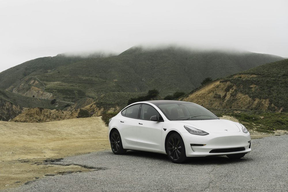 Tesla Model Y Taxi Leeuwarden